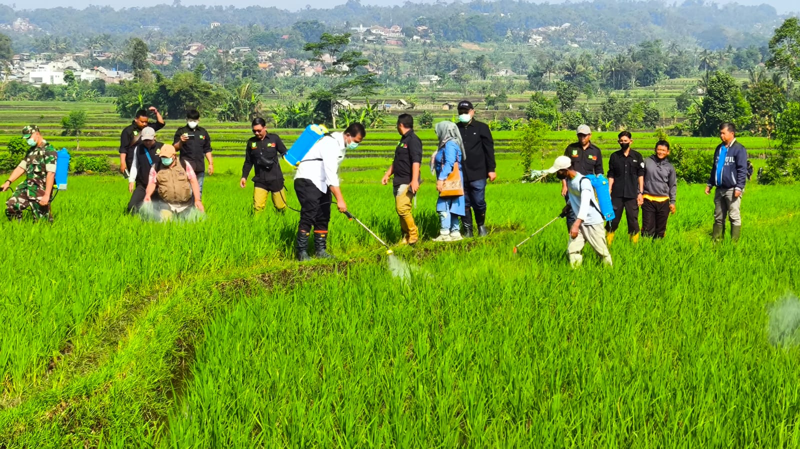Kementan Luncurkan Program Gerakan Percepatan Tanam di Kabupaten Pamekasan