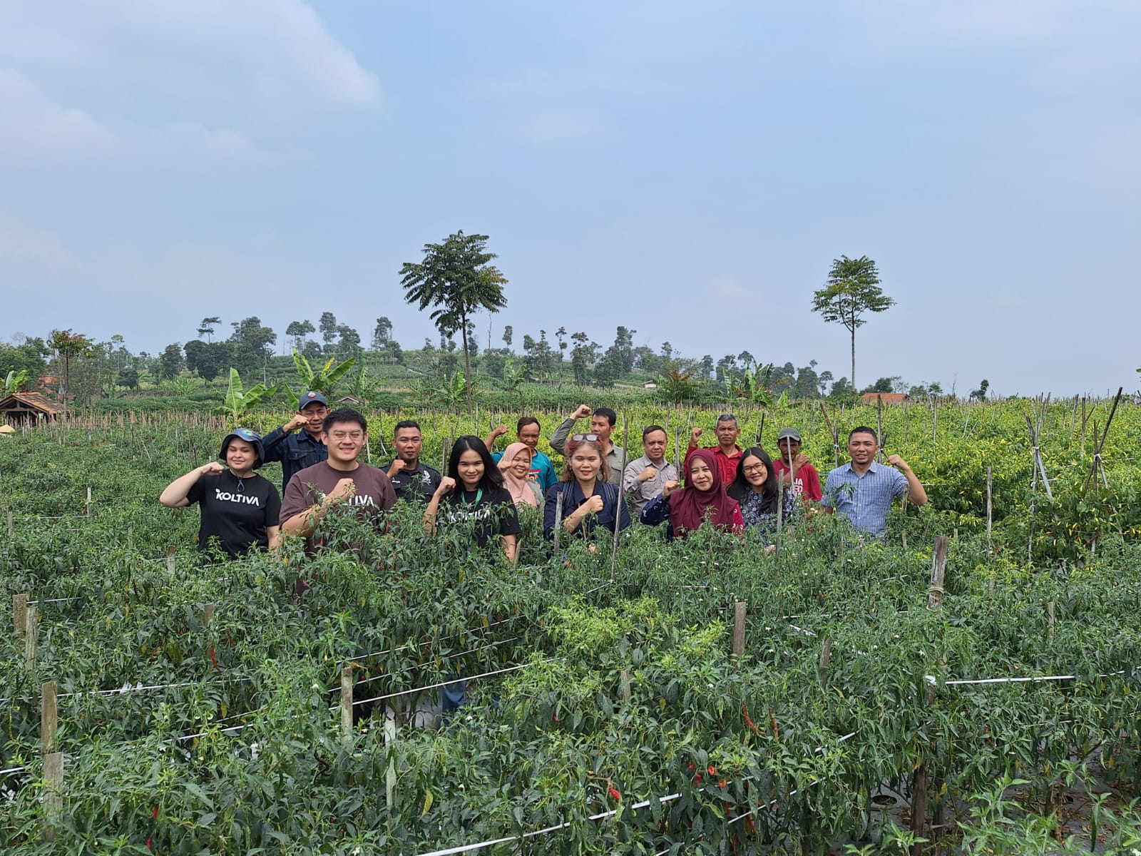 PILOTTING MIS KOLTITRACE SIAP MEMBANGUN KETERTELUSURAN DATA HDDAP DI KABUPATEN SUMEDANG
