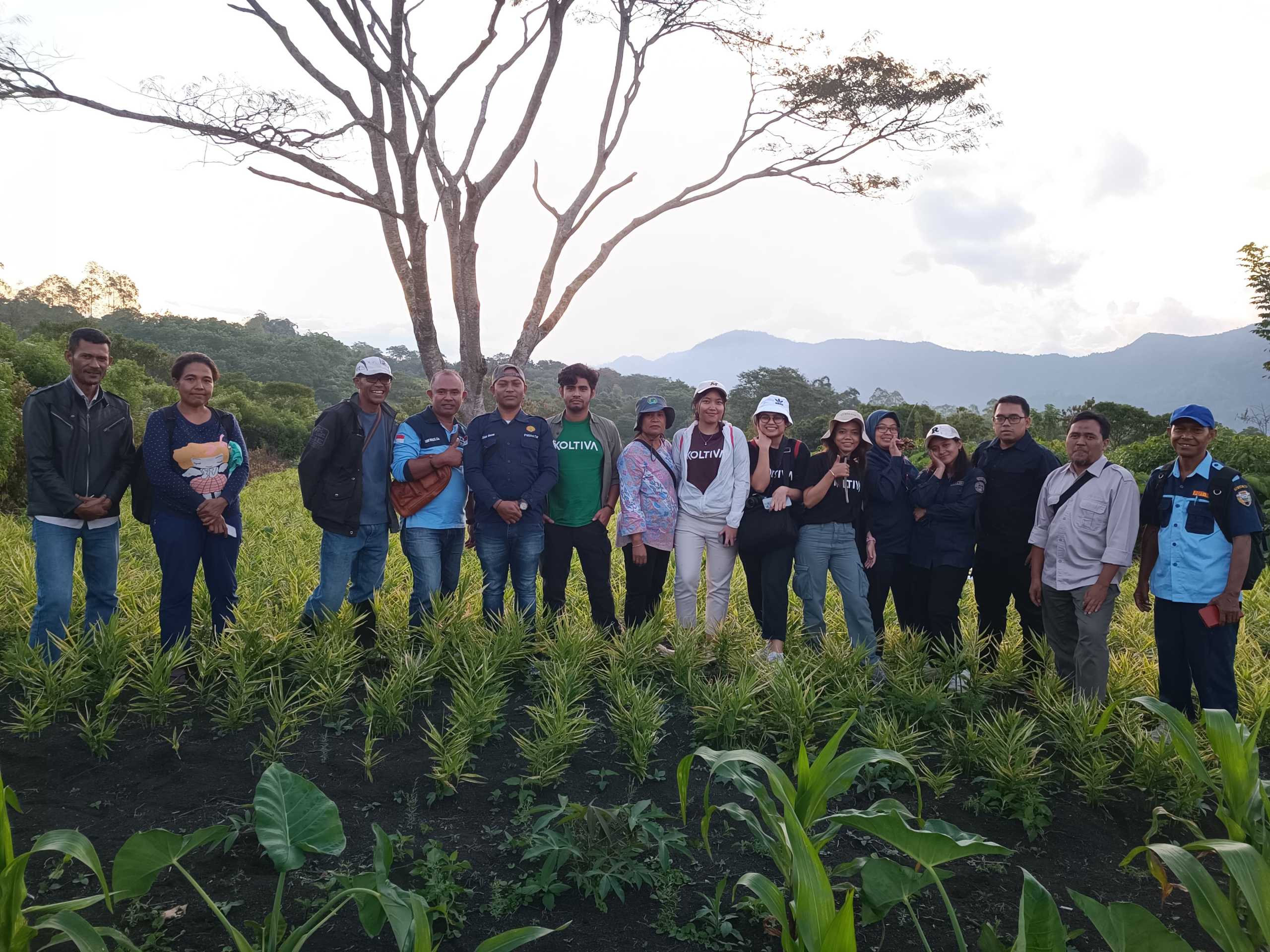 Kementan Perkenalkan MIS-KoltiTrace Dalam Pengembangan Hortikultura Di Lahan Kering