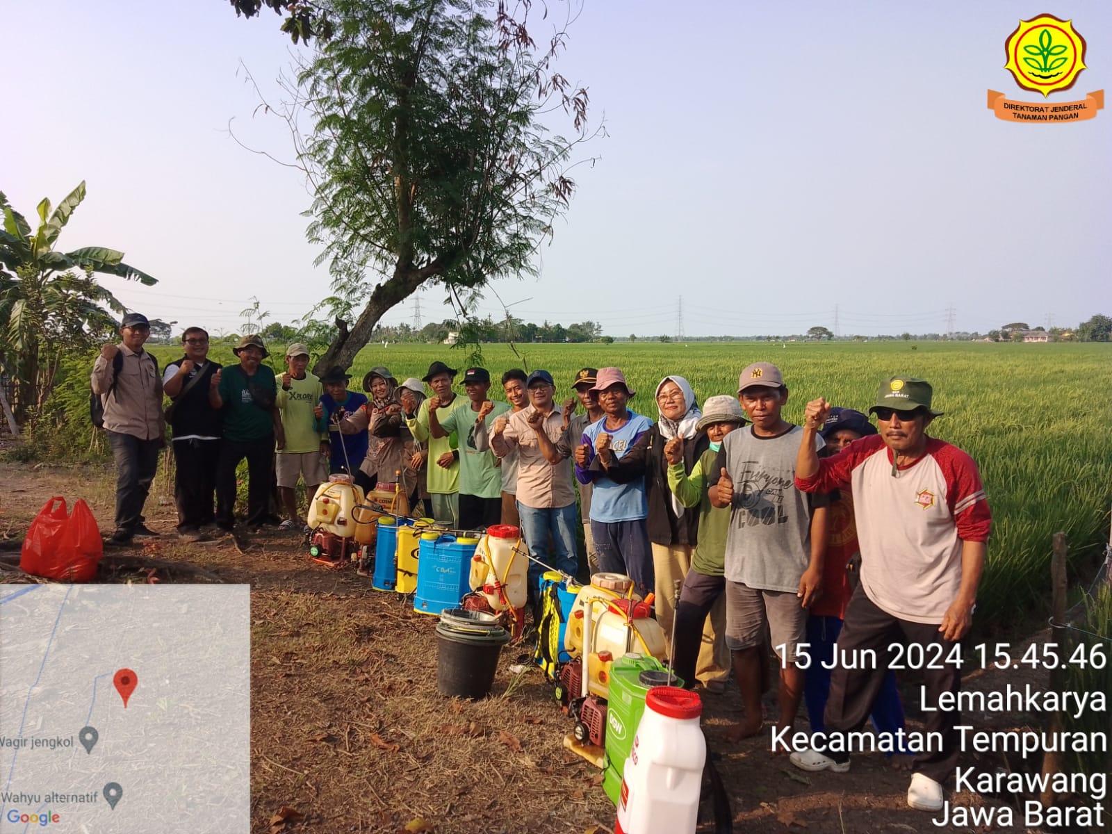 TIDAK KENAL LIBUR, KEMENTAN LAKUKAN PENGENDALIAN PENGGEREK BATANG PADI DI KARAWANG