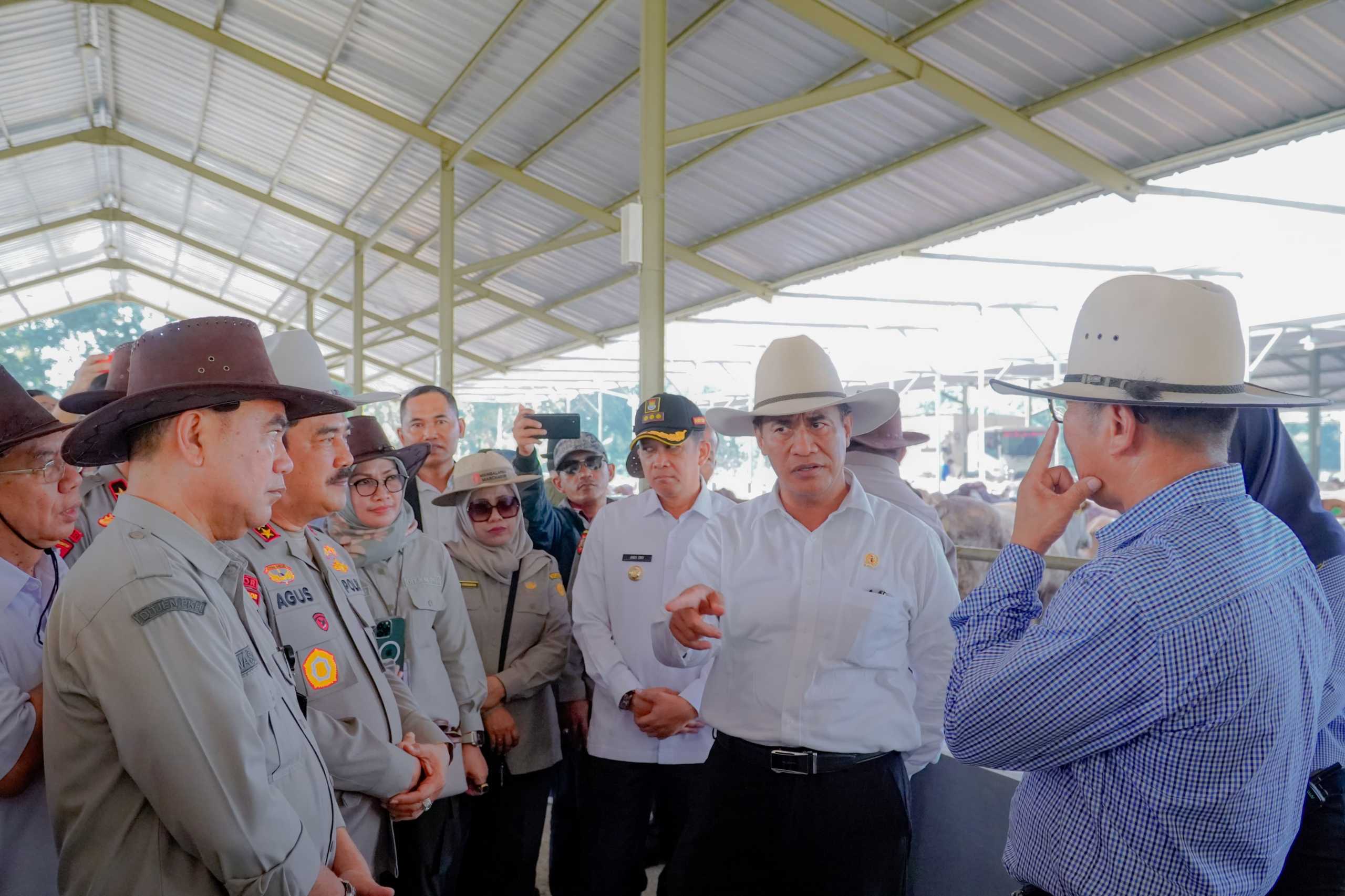 Kementan Pastikan Surplus Hewan Kurban Untuk Idul Adha 2024