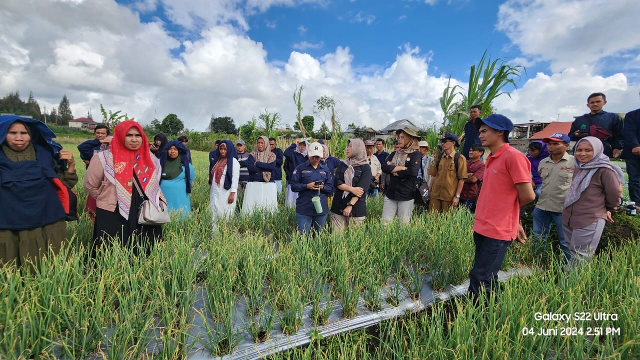 Gencarkan Kampung Perlindungan Hortikultura, Kementan Garap 15.000 Ha Lahan Bawang Merah di Solok Sumatera Barat
