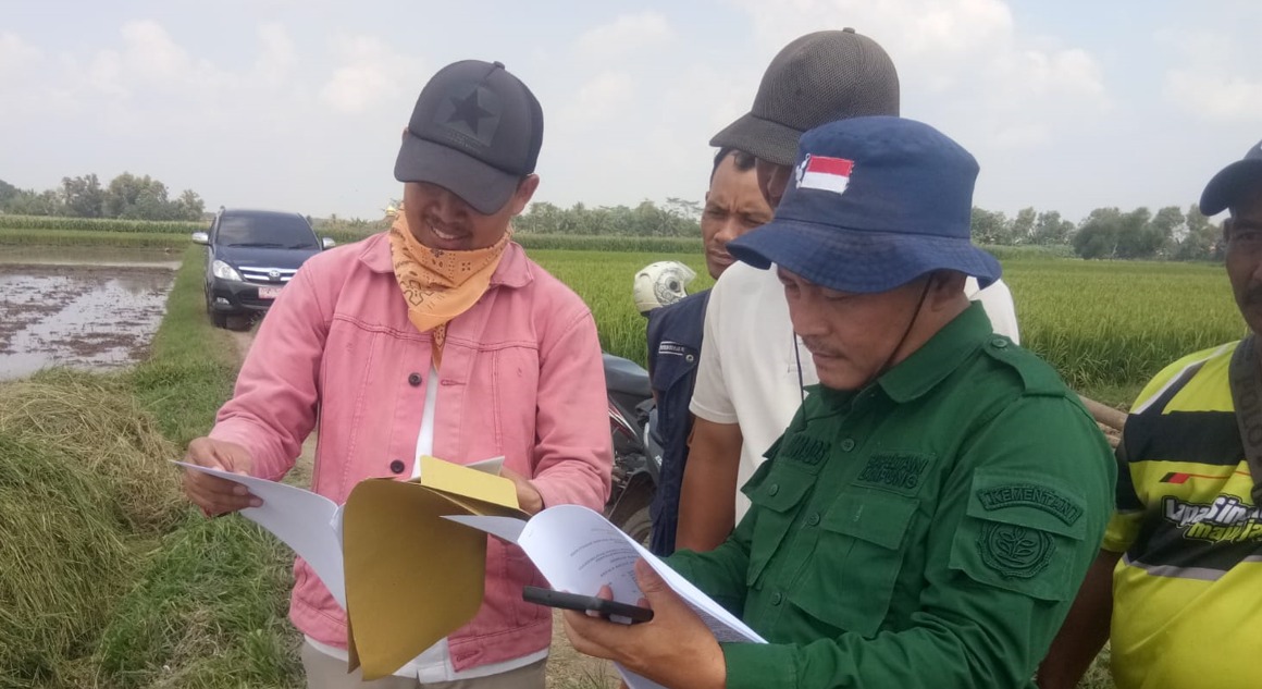 BANTU FASILITASI PEMASARAN GABAH KE BULOG, BAPELTAN LAMPUNG DIAPRESIASI PENGHARGAAN OLEH PEMERINTAH KABUPATEN LAMPUNG UTARA