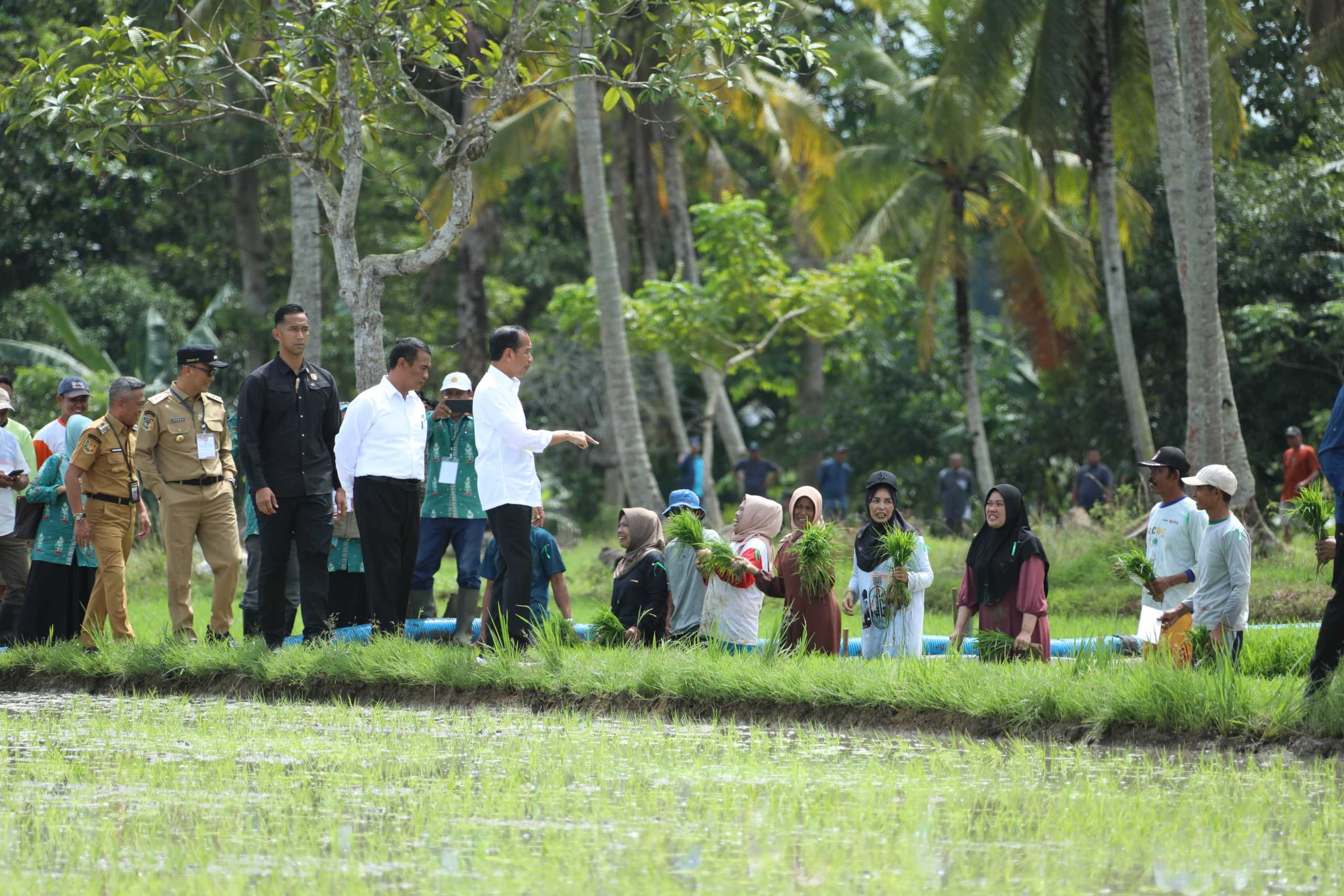 Presiden Kunker di Bone, Petani Sebut Jokowi dan Mentan Amran Berkah Bagi Kemajuan Pertanian Indonesia