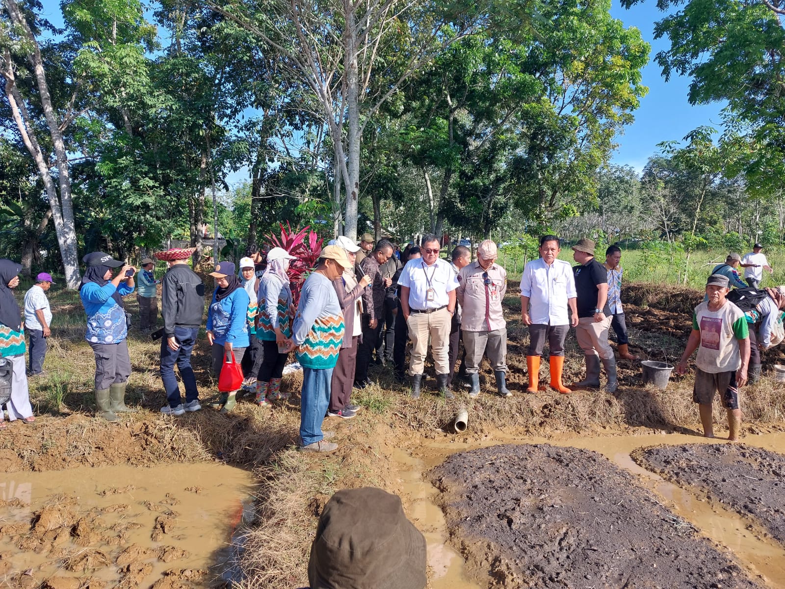 Tinkatkan IP, Kementan Lakukan Tanam Perdana di Kota Banjarbaru