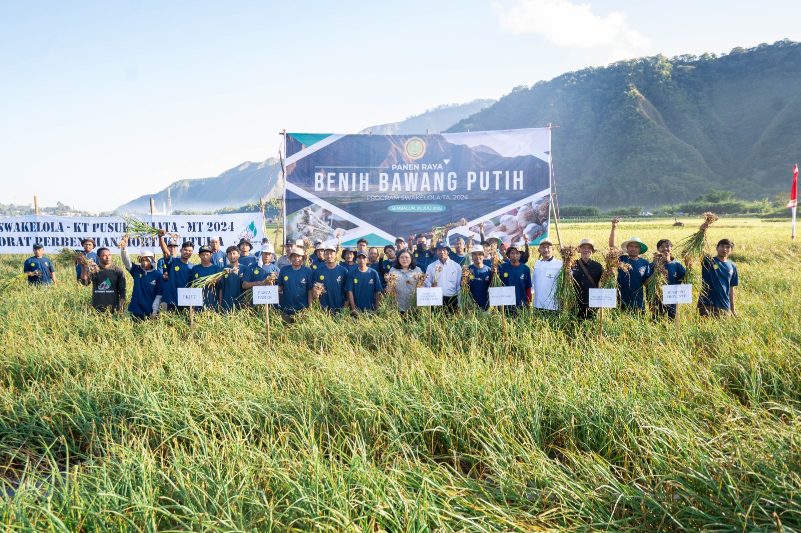 PANEN RAYA BENIH BAWANG PUTIH, LANGKAH KONKRIT MENUJU SWASEMBADA BAWANG PUTIH NASIONAL
