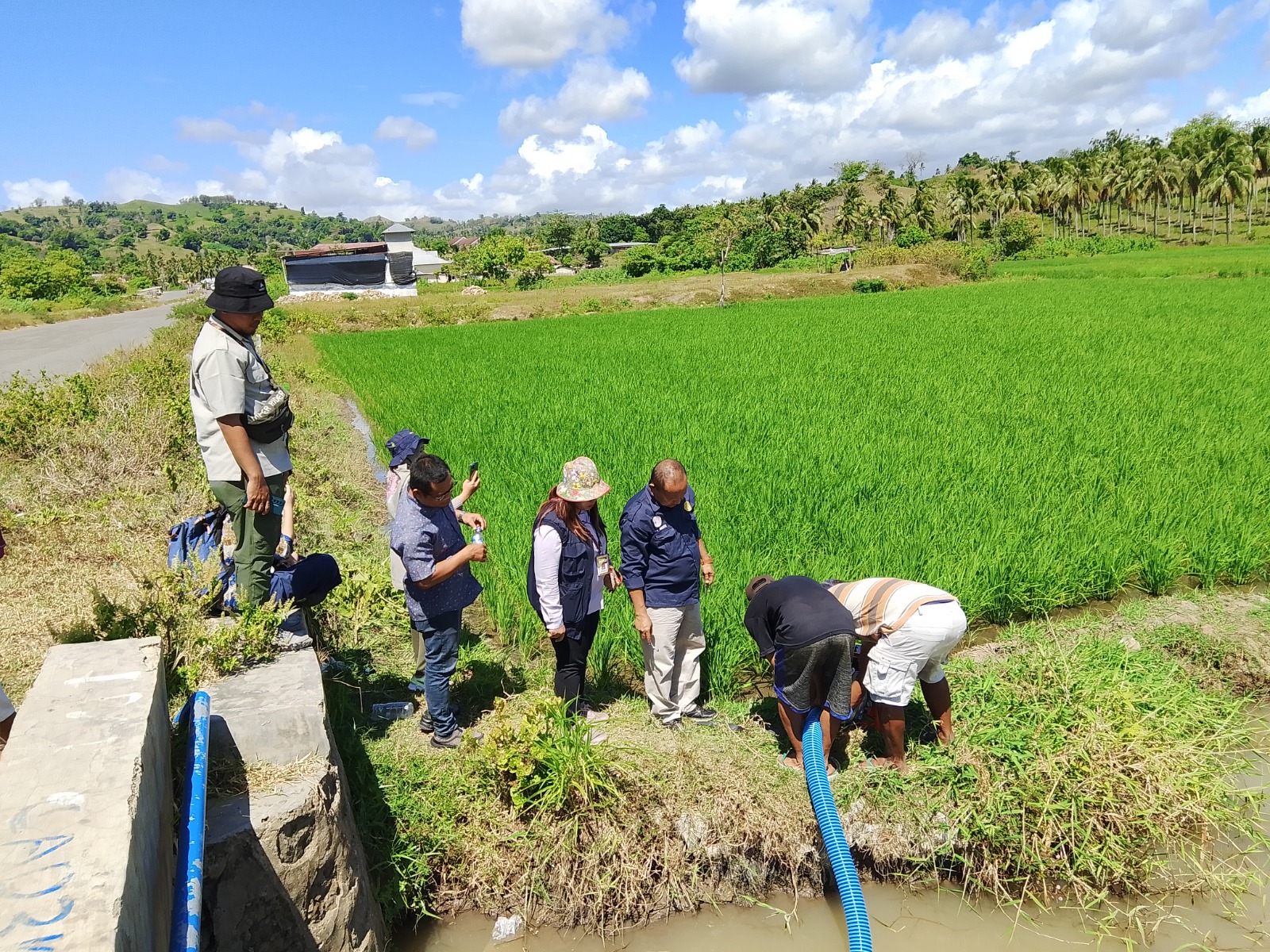Mentan Masifkan Pompanisasi Hadapi Kekeringan Panjang