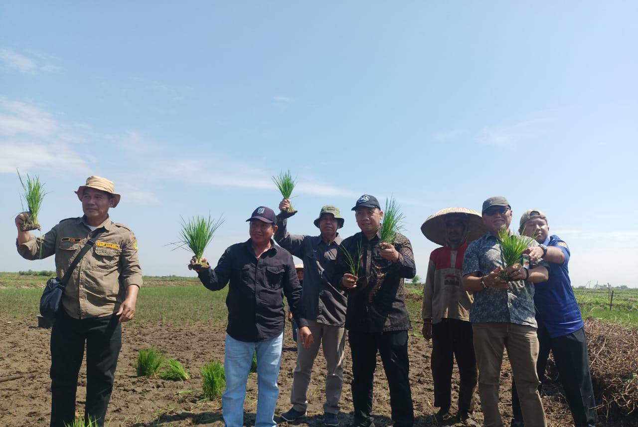 Kejar Pemenuhan Kebutuhan Pangan Nasional, Kementan Gencarkan Penambahan Areal Tanam Di Kalsel