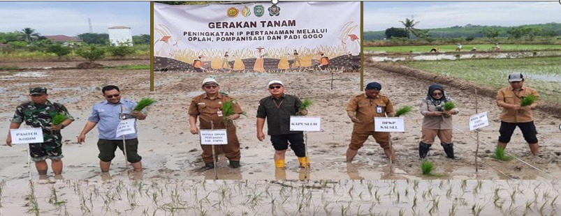 Lewat Program PAT, Kementan Pacu Indeks Pertanaman di Kabupaten Tapin