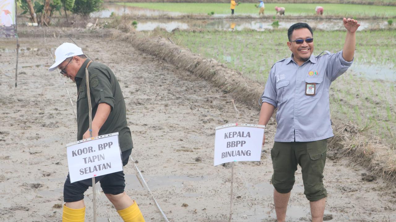 Kementan Pacu Indeks Pertanaman di Kabupaten Tapin