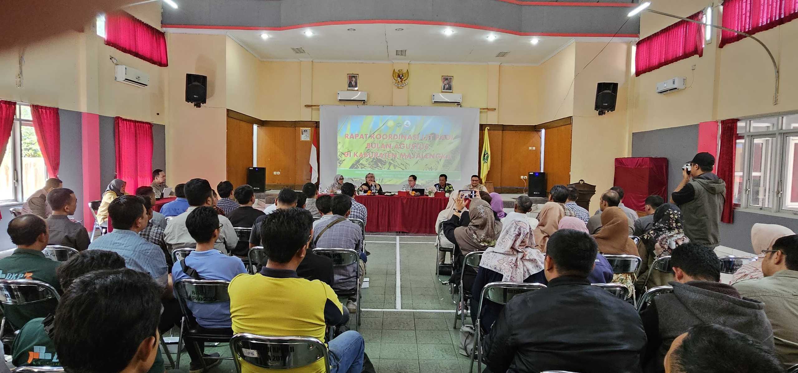 Kementerian Pertanian Pacu LTT Padi Tahun 2024