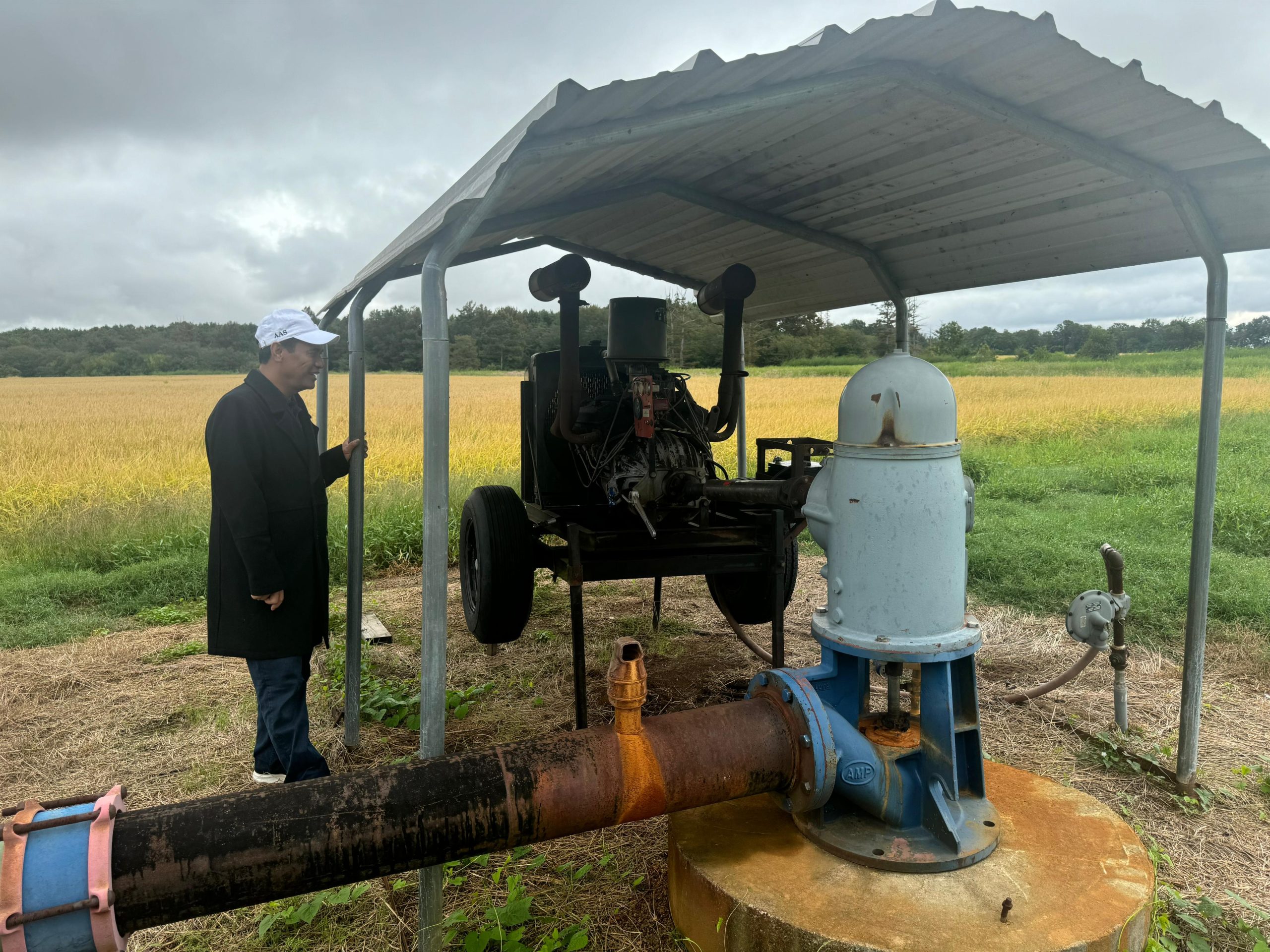 Pompanisasi Kementan, Terobosan Modern yang Sejalan dengan Praktik Pertanian Arkansas