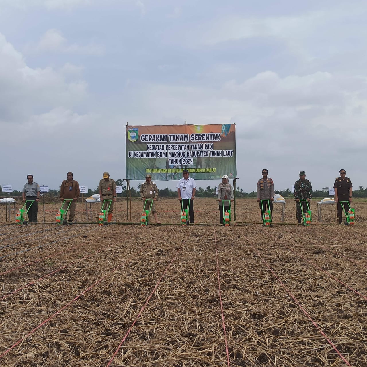 Sinergi Kementan dan Pemkab Tanah Laut Dukung PAT dengan Gerakan Tanam Padi Serentak