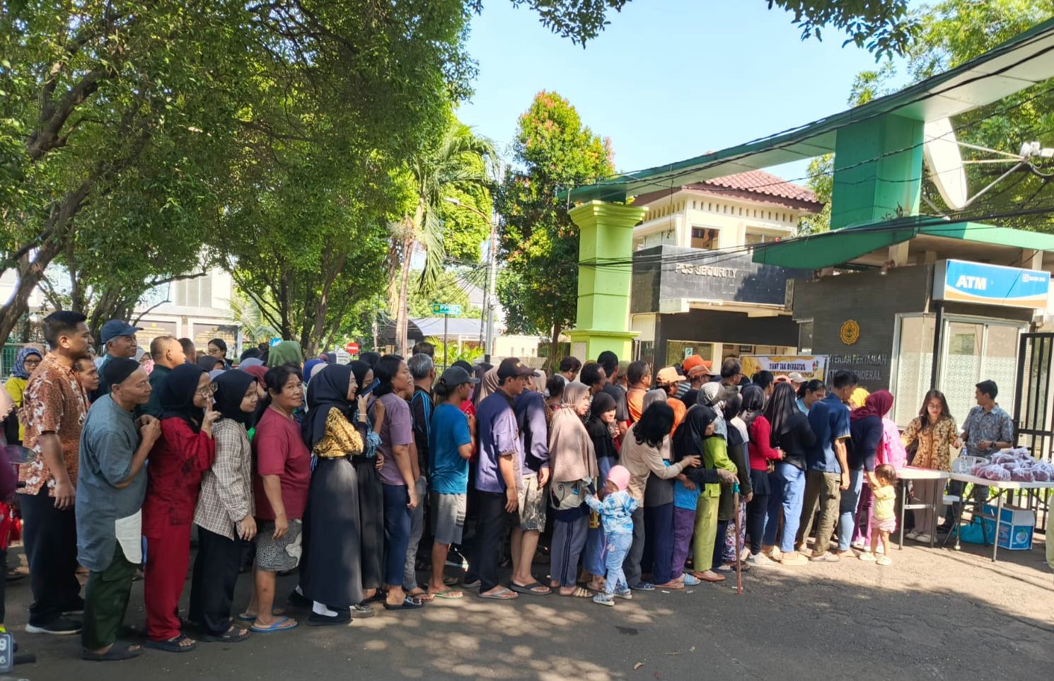 Bantu Petani, Kementan Serap Produksi Cabai Merah Keriting dari Petani