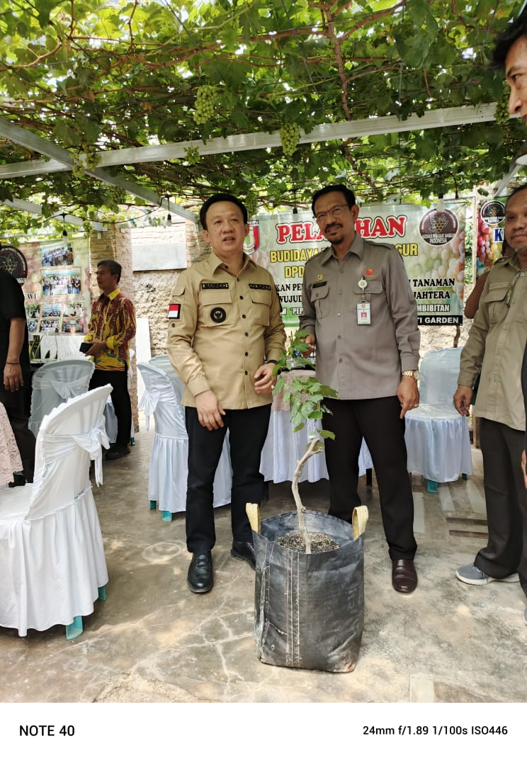 Kementan dorong Pringsewu menjadi Kabupaten Anggur