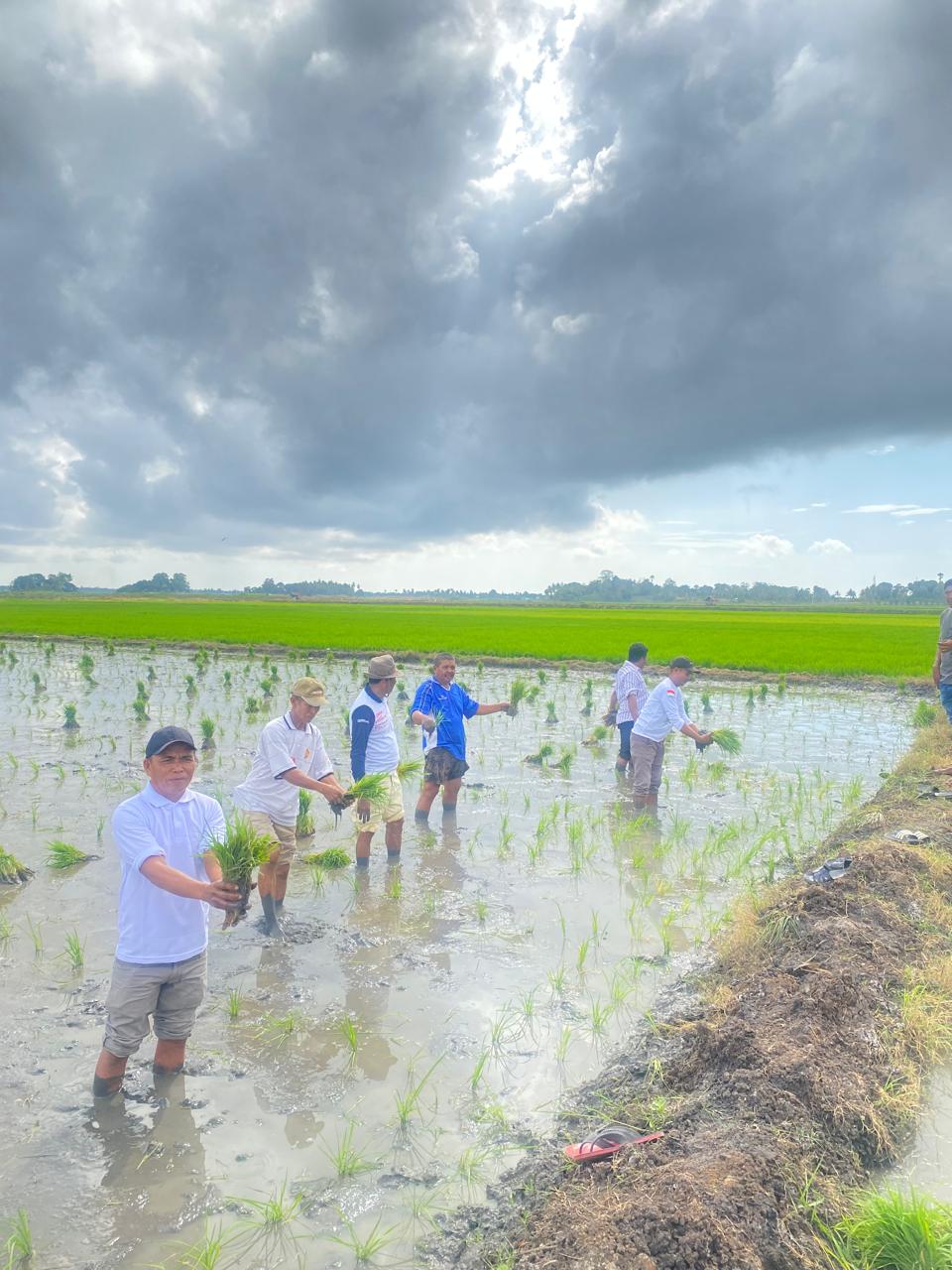 Pangkas 145 Regulasi, Kebijakan Distribusi Pupuk Langsung Ke Petani Dinilai Tepat