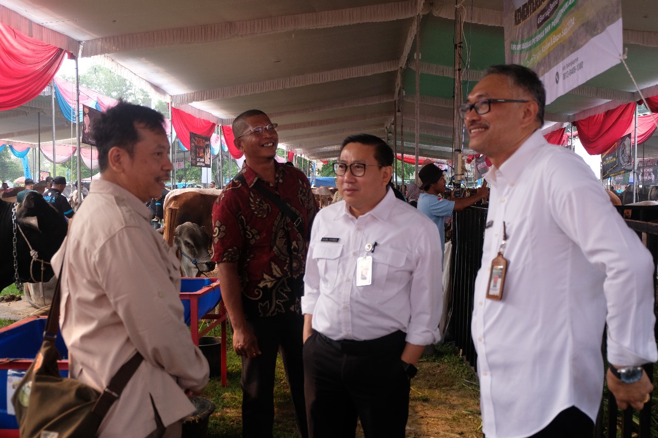 Mentan Upayakan Harga Sapi Hidup minimal Rp50 Ribu per Kilogram, Dirjen PKH Siapkan Strateginya
