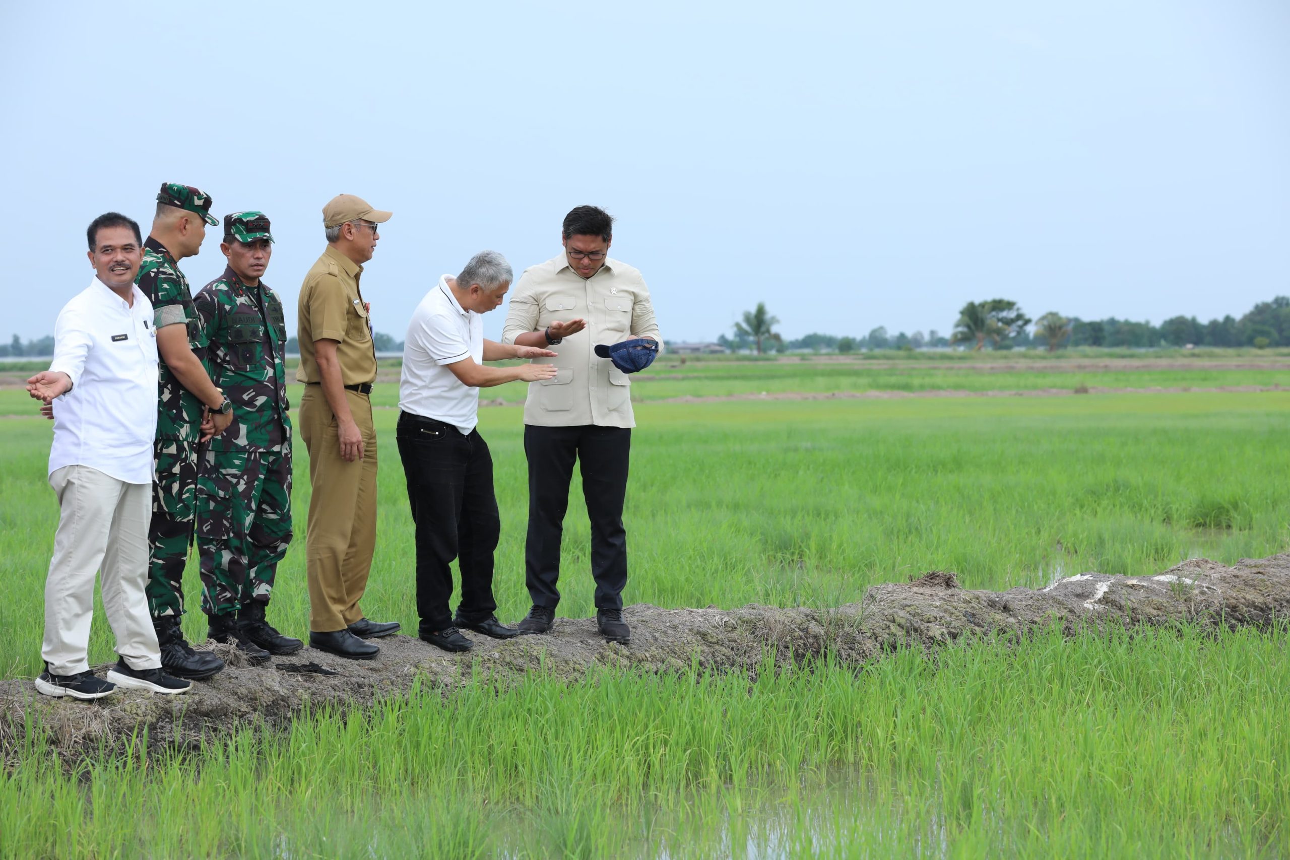 Wamentan Sudaryono Dorong Optimasi Lahan Rawa Capai 106 Ribu Hektar Dan 150 ribu Hektar Cetak Sawah Baru di Sumsel