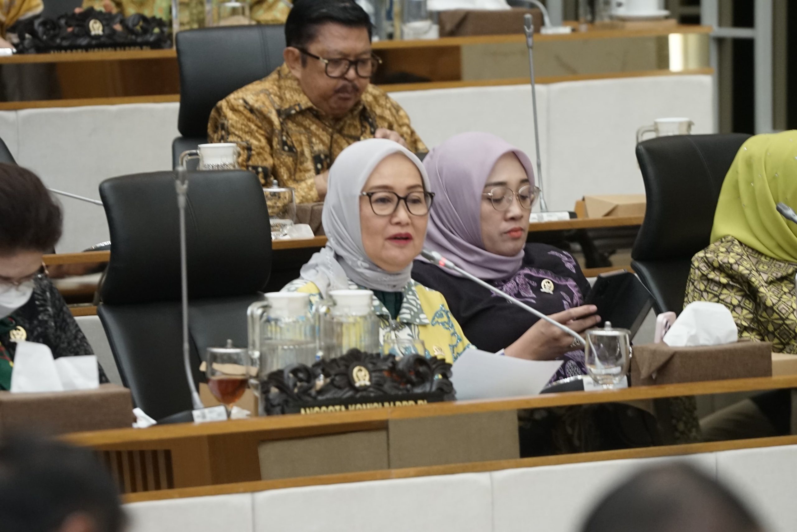 Komisi IV DPR RI Dukung Strategi Kementan Wujudkan Swasembada Pangan