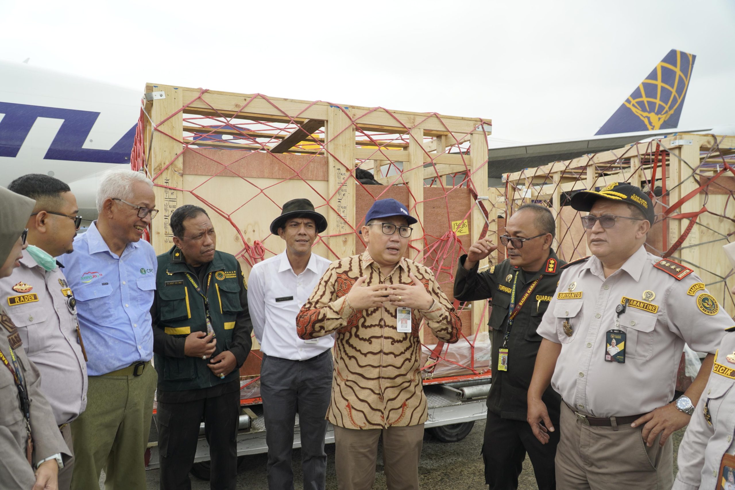 Sapi Perah Bunting Impor Telah Mendarat di Indonesia, Siap Dukung Program Makan Bergizi