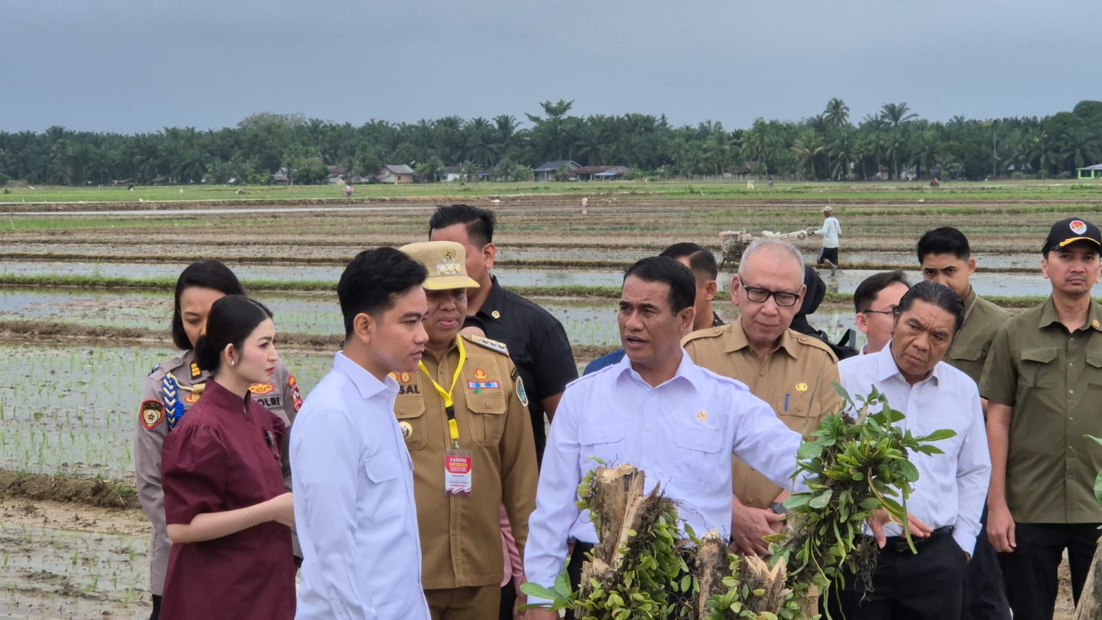 Wapres Gibran Dorong Mekanisasi dan Teknologi Pertanian untuk Akselerasi Pertanaman Padi di Langkat