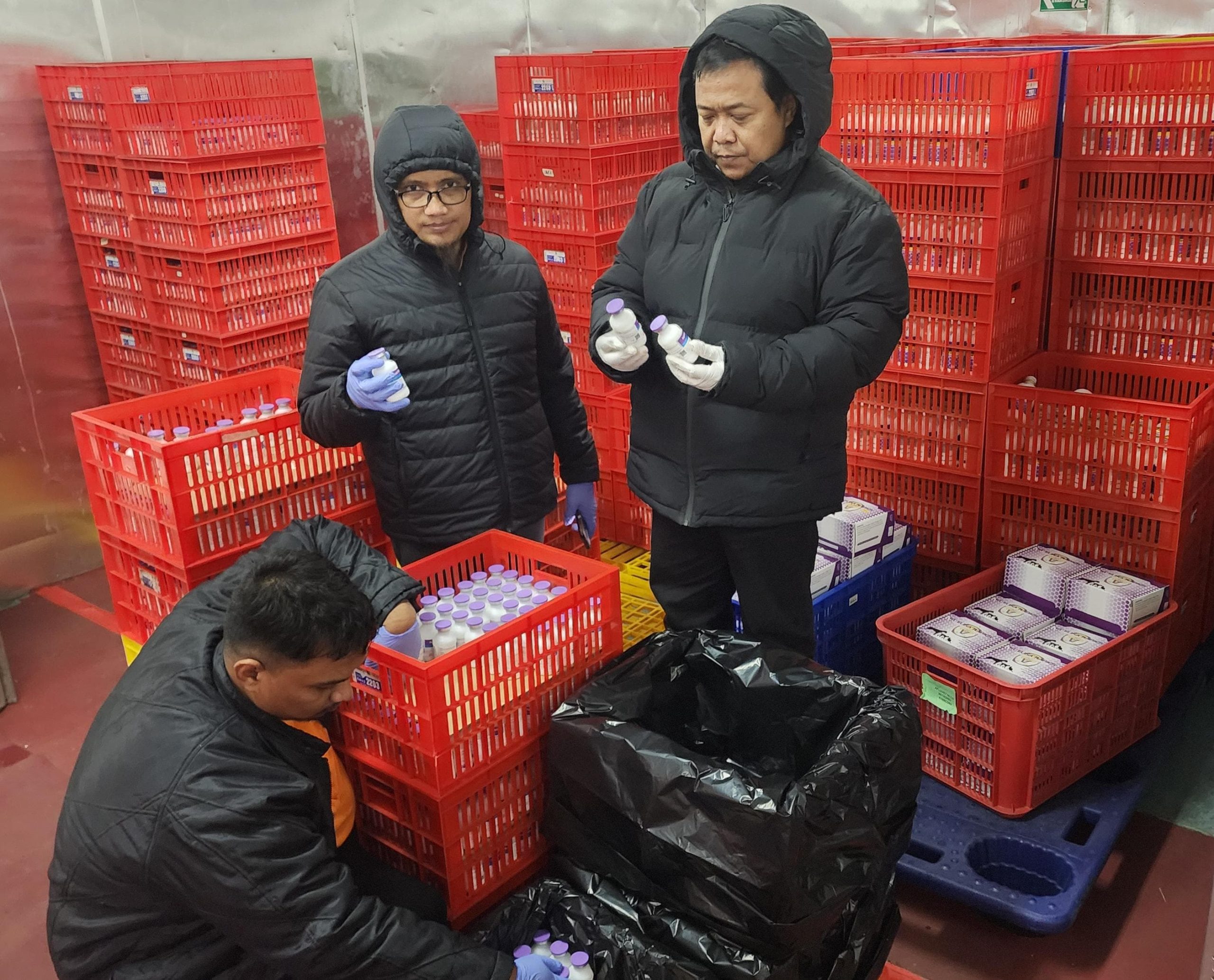 Kementan Siapkan Vaksin PMK 4 Juta Dosis, Tahap Awal 124 Ribu Dosis Telah Disalurkan