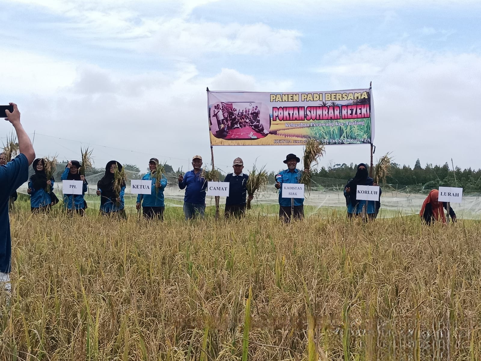 Harga Gabah Kering di Riau Mulai Naik, Petani Harapkan Penyerapan oleh Bulog