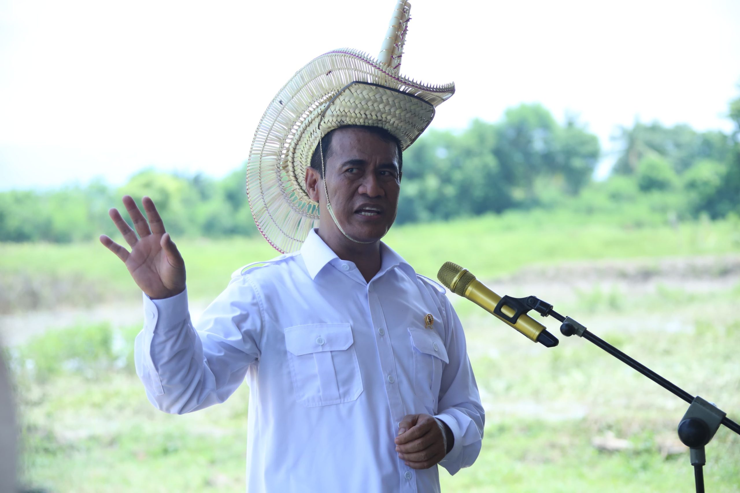 Mentan Panggil Importir Singkong: Petani Singkong Tidak Boleh Dizalimi