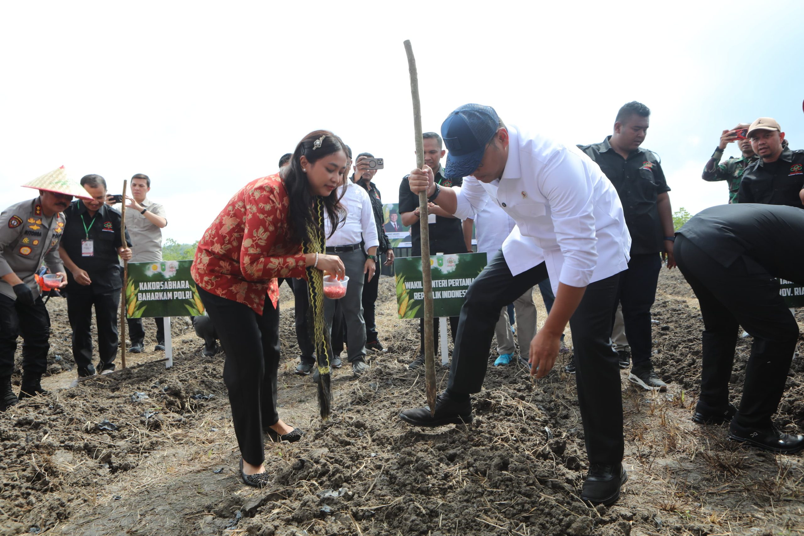 Wamentan Sudaryono: Riau Bakal Jadi Percontohan Terbaik Tumpang Sari Jagung dan Cabai
