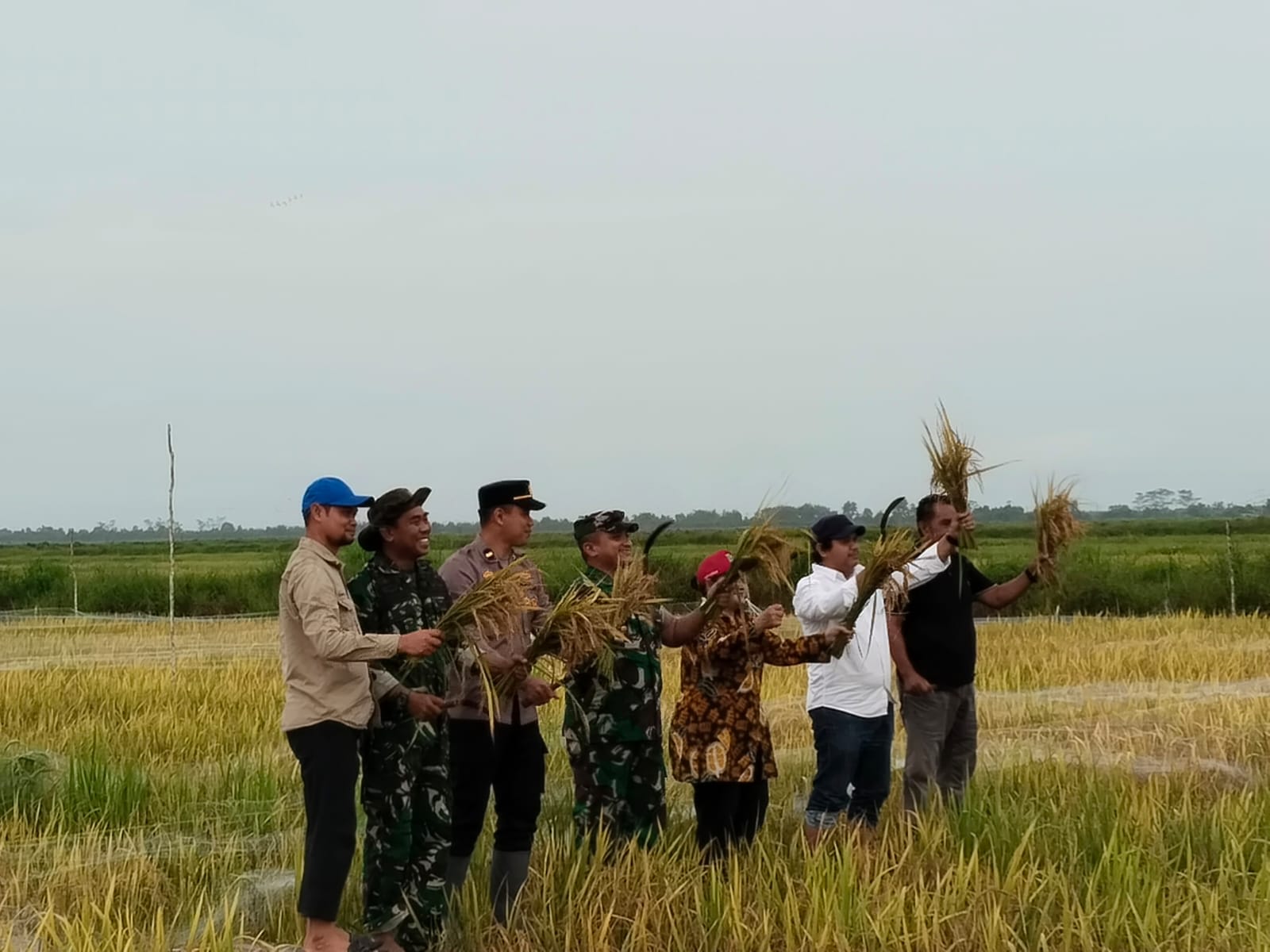 Panen Perdana di Lahan Baru Dadahup, Bukti Nyata Keberhasilan Ekstensifikasi Lahan Pertanian