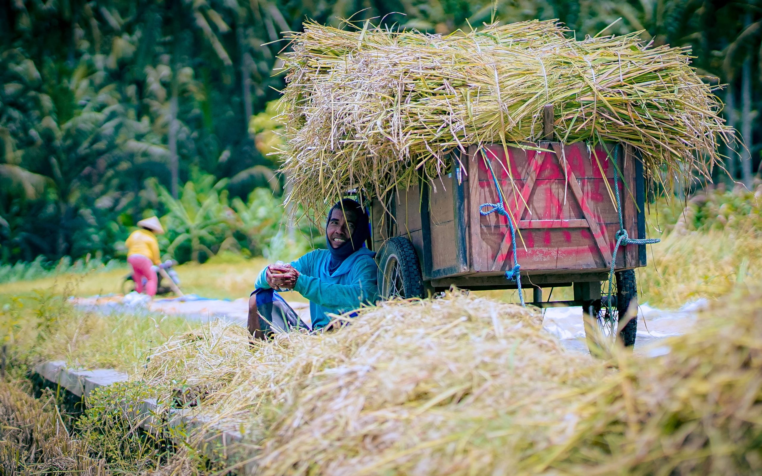 Filipina Darurat Pangan, Indonesia Pastikan Ketahanan Terjaga