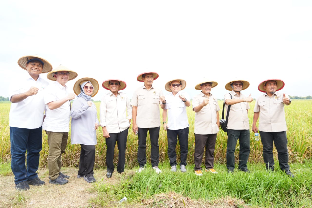 Kementan dan Komisi IV DPR RI Dorong Magetan Tingkatkan Produksi Padi