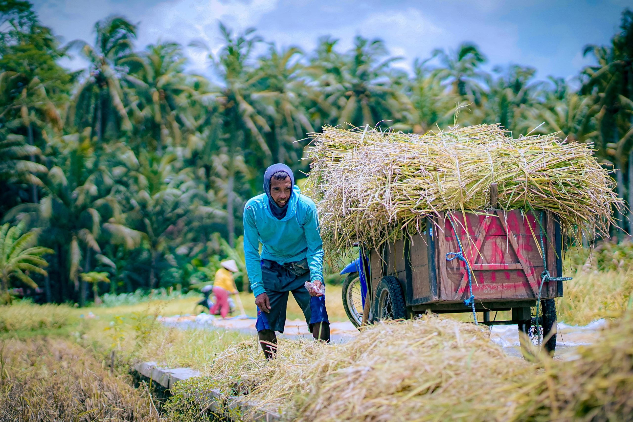 BPS: Produksi Beras Januari – April Tertinggi Selama 7 Tahun, ASEM