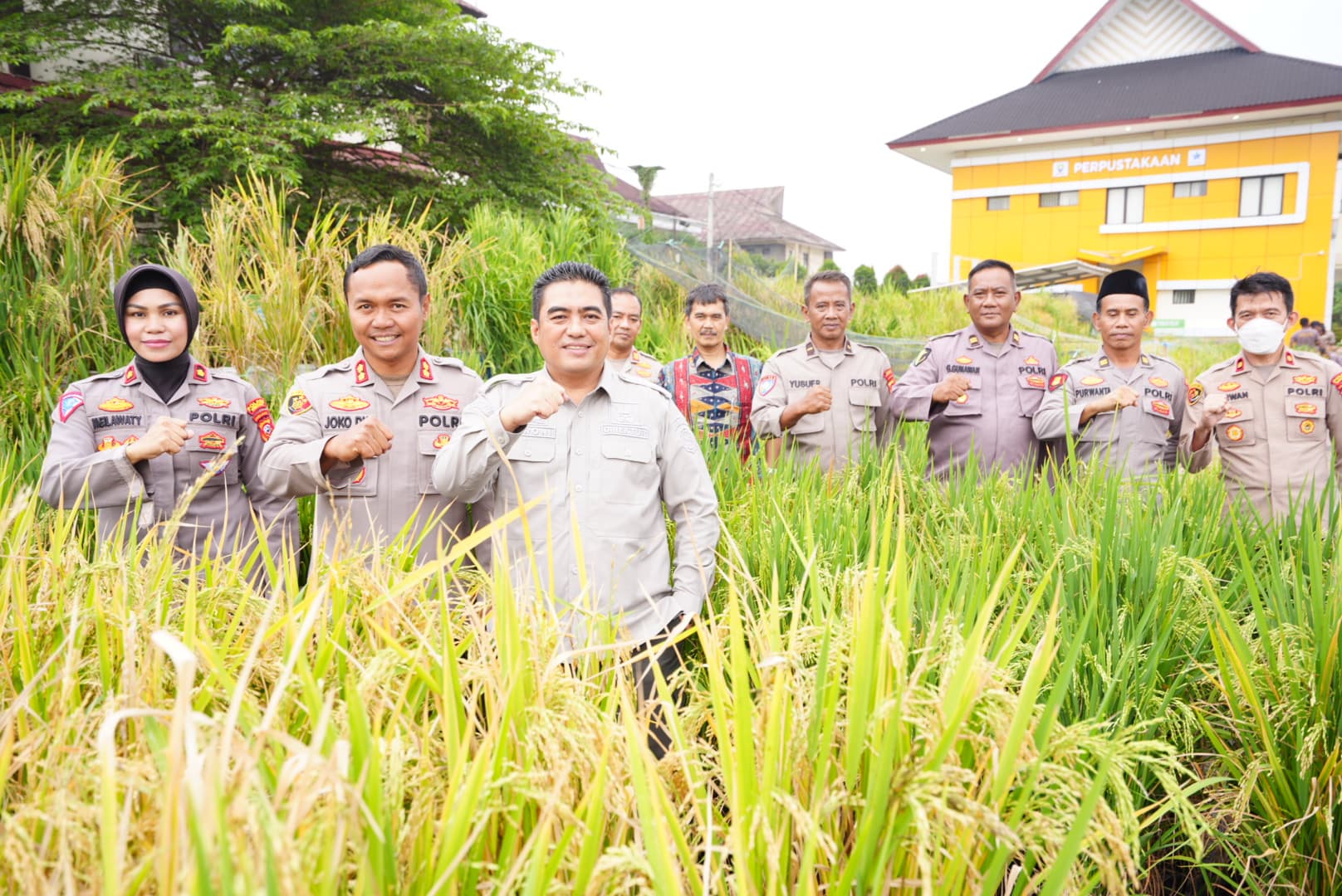 Kementan Apresiasi Inovasi Polres Sumedang Tanam Padi Media Ember