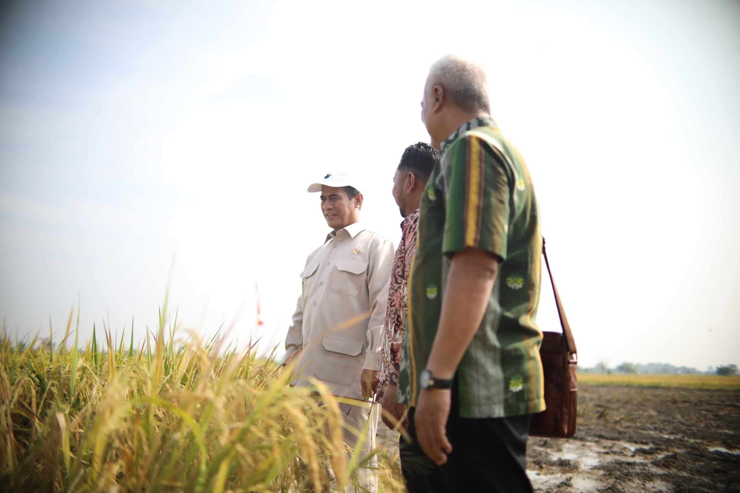 Panen dan Serap Gabah Di Gresik, Mentan Amran: Petani Bahagia, Terima Kasih Presiden Prabowo
