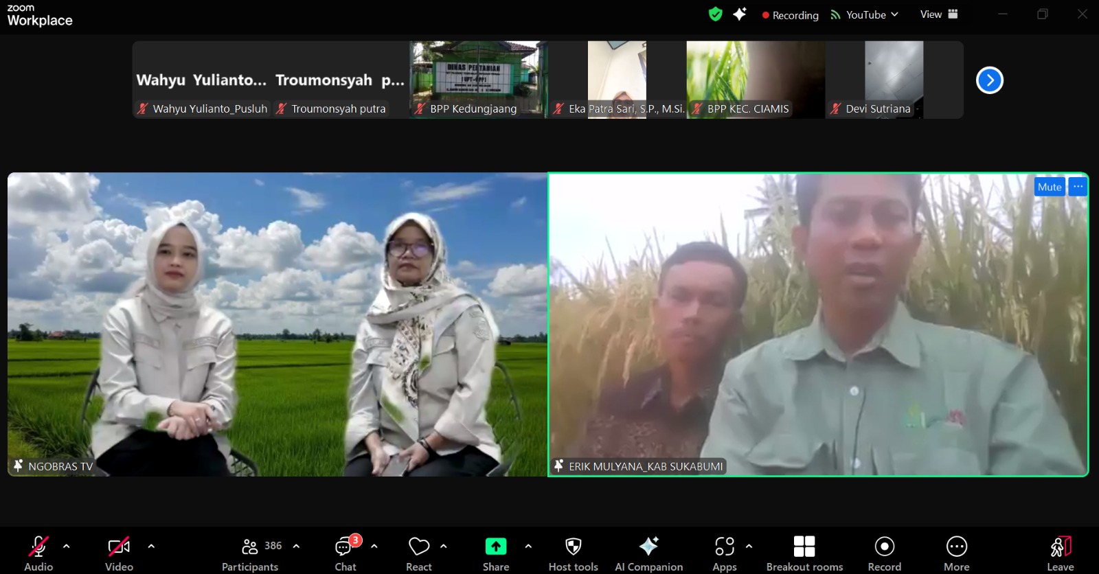 Kementan Tingkatkan Ketahanan Pangan melalui Budidaya Padi Organik