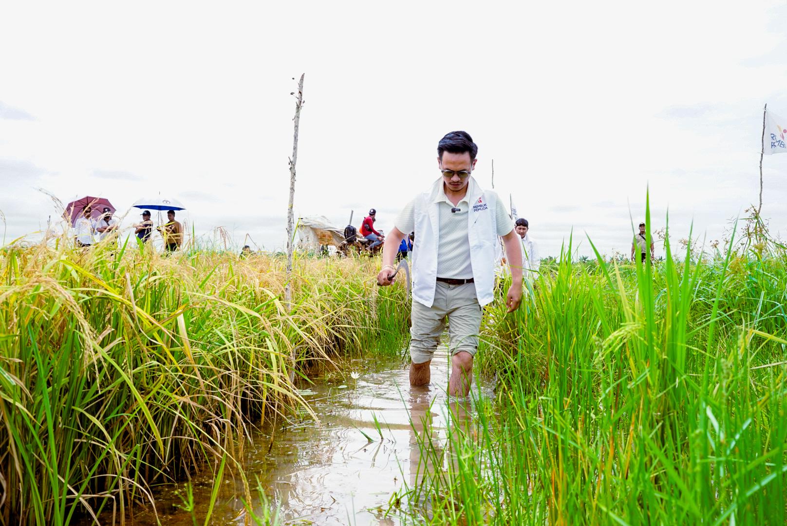 Sukses Panen Perdana, Brigade Pangan Rembuk Pemuda Buktikan Komitmen Swasembada Pangan