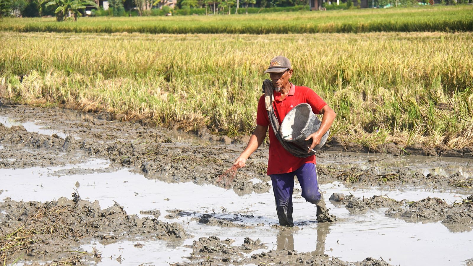 Petani Bisa Lebaran Tenang, Tebus Pupuk Kini Lebih Mudah