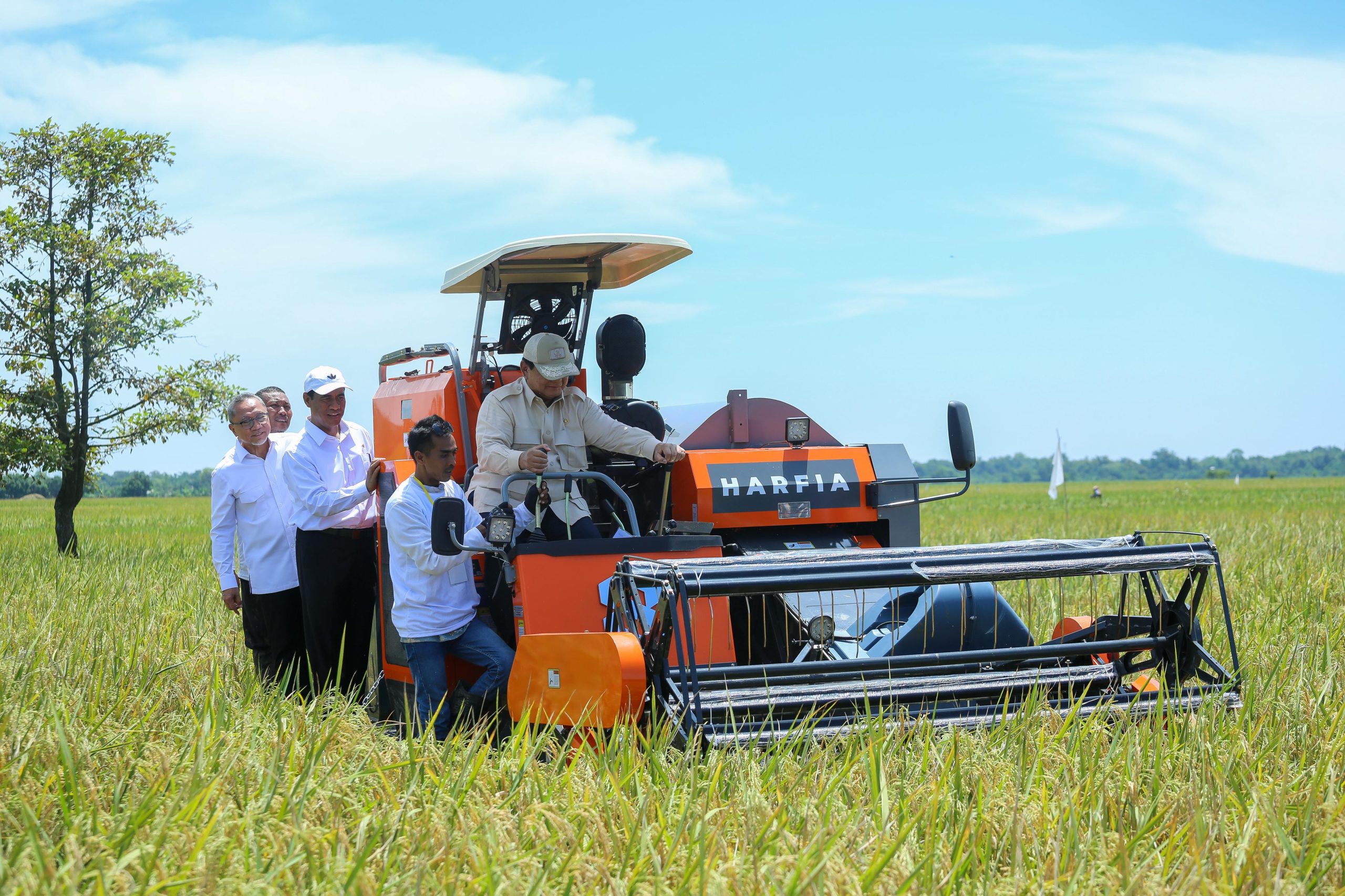 Kebijakan Presiden Prabowo Bikin Petani Bahagia, Harga Gabah Rp6.500 per Kilogram