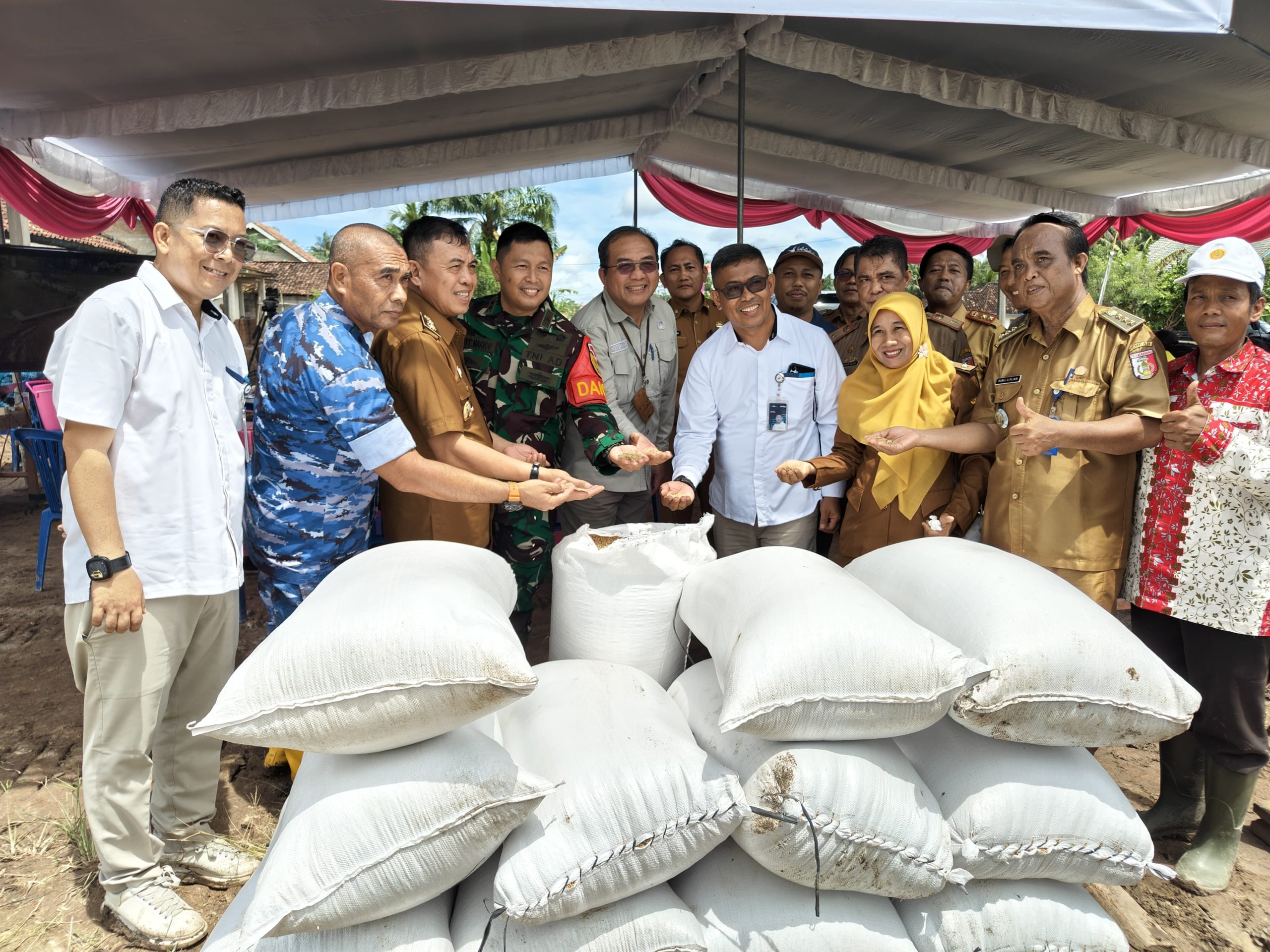 Panen Raya Serentak di 14 Provinsi, Tulang Bawang Siap Jadi Lokomotif Swasembada Pangan Lampung