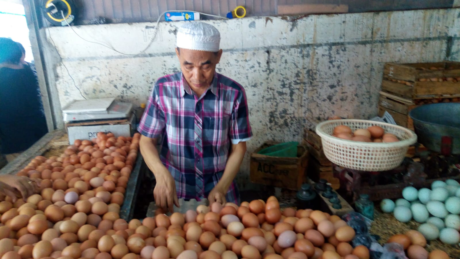 Asosiasi dan Peternak Apresiasi Langkah Kementan Stabilkan Harga Telur