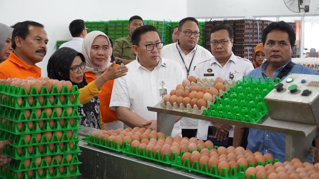 Kementan Perkuat Serapan dan Stabilisasi Harga Telur di Tingkat Peternak