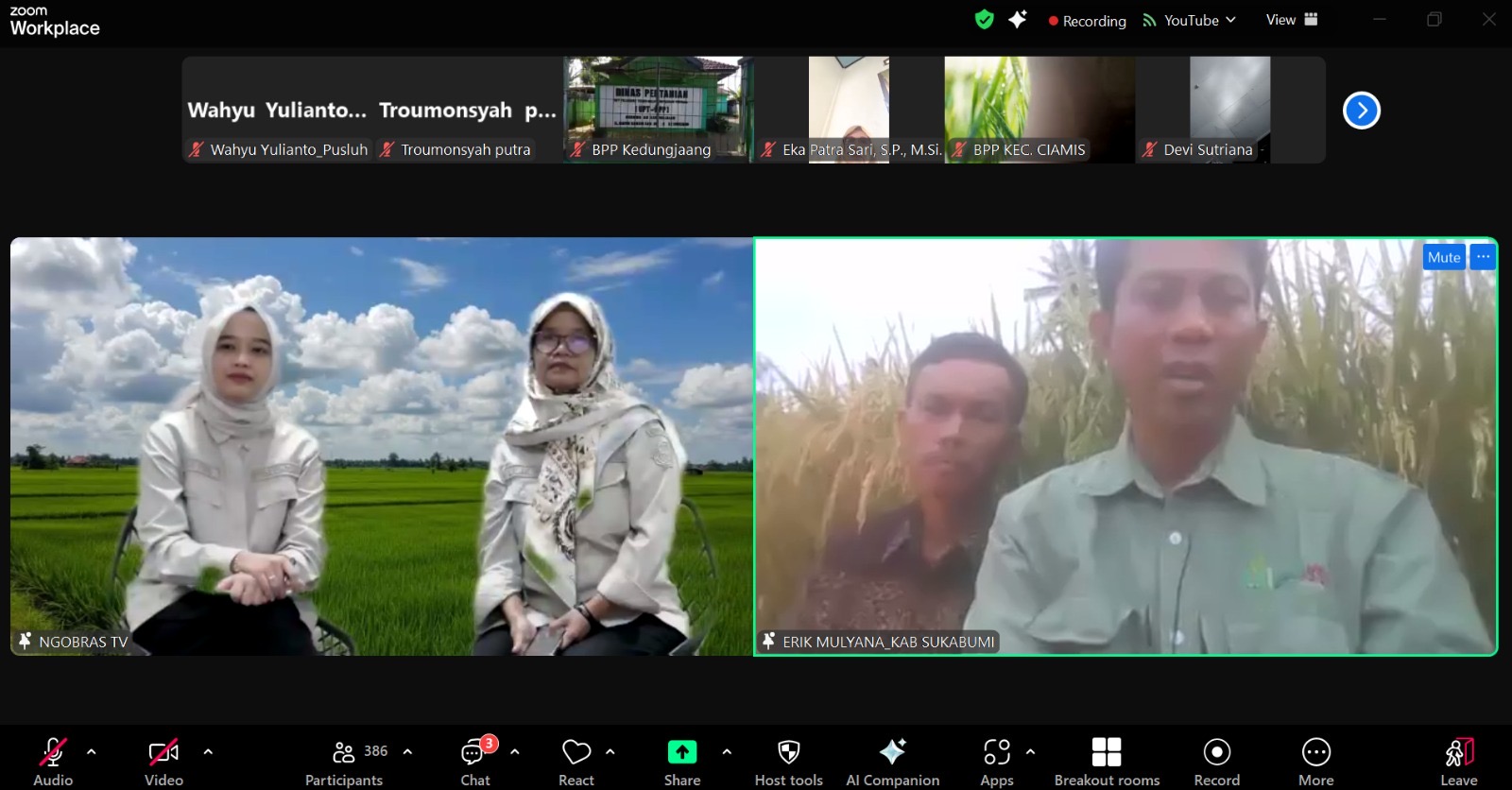 Kementan Fokus pada Peningkatan Ketahanan Pangan melalui Padi Organik