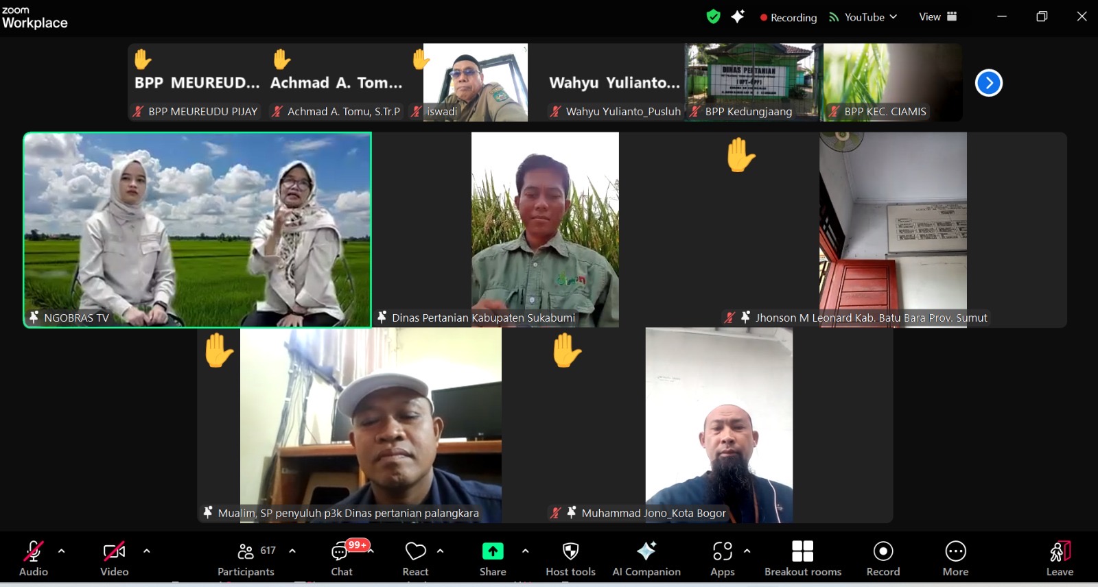 Padi Organik: Solusi Pertanian Ramah Lingkungan untuk Ketahanan Pangan