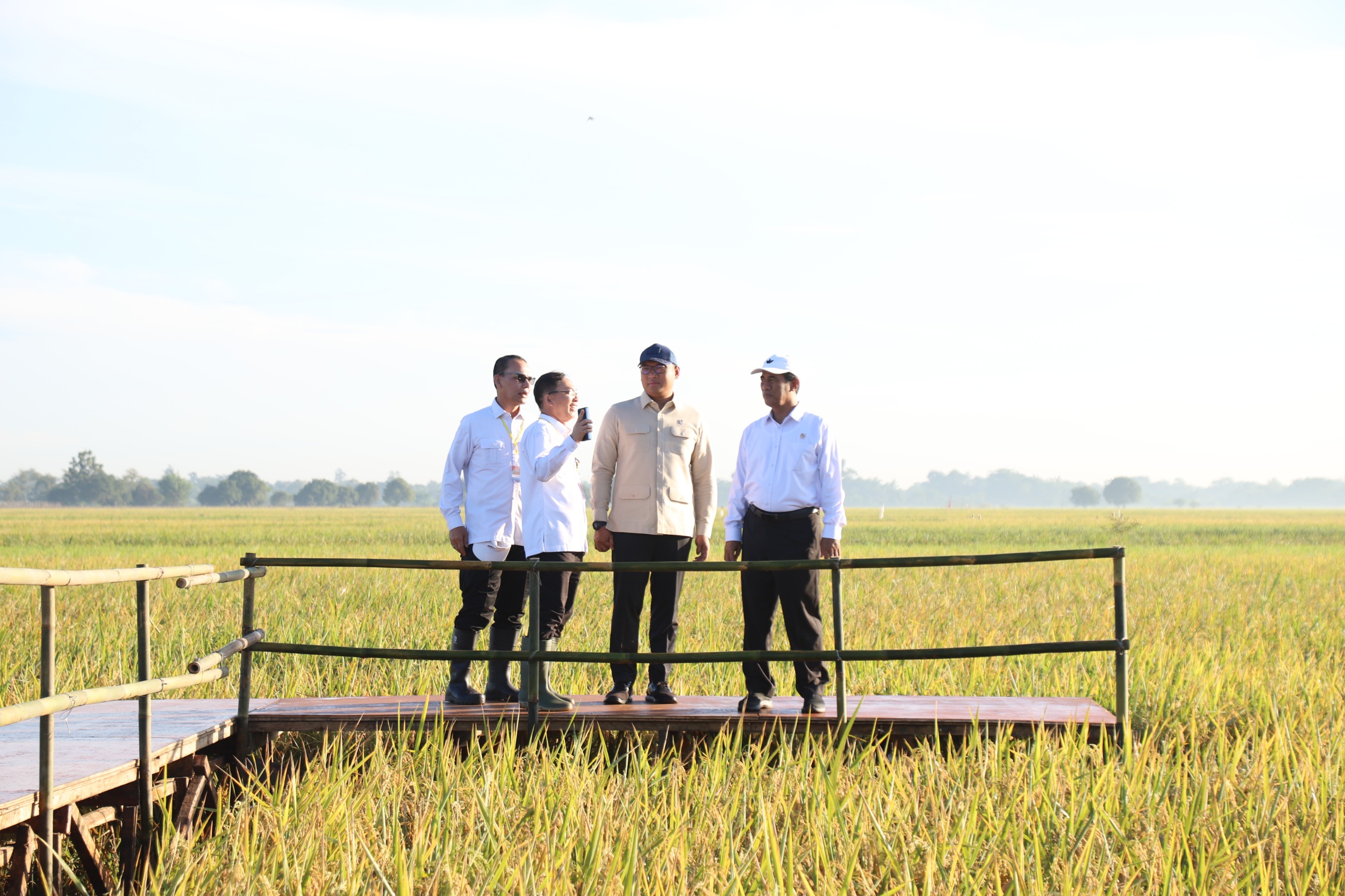 Serapan Beras Bulog Januari–Mei Tertinggi dalam 57 Tahun, Tanpa Impor