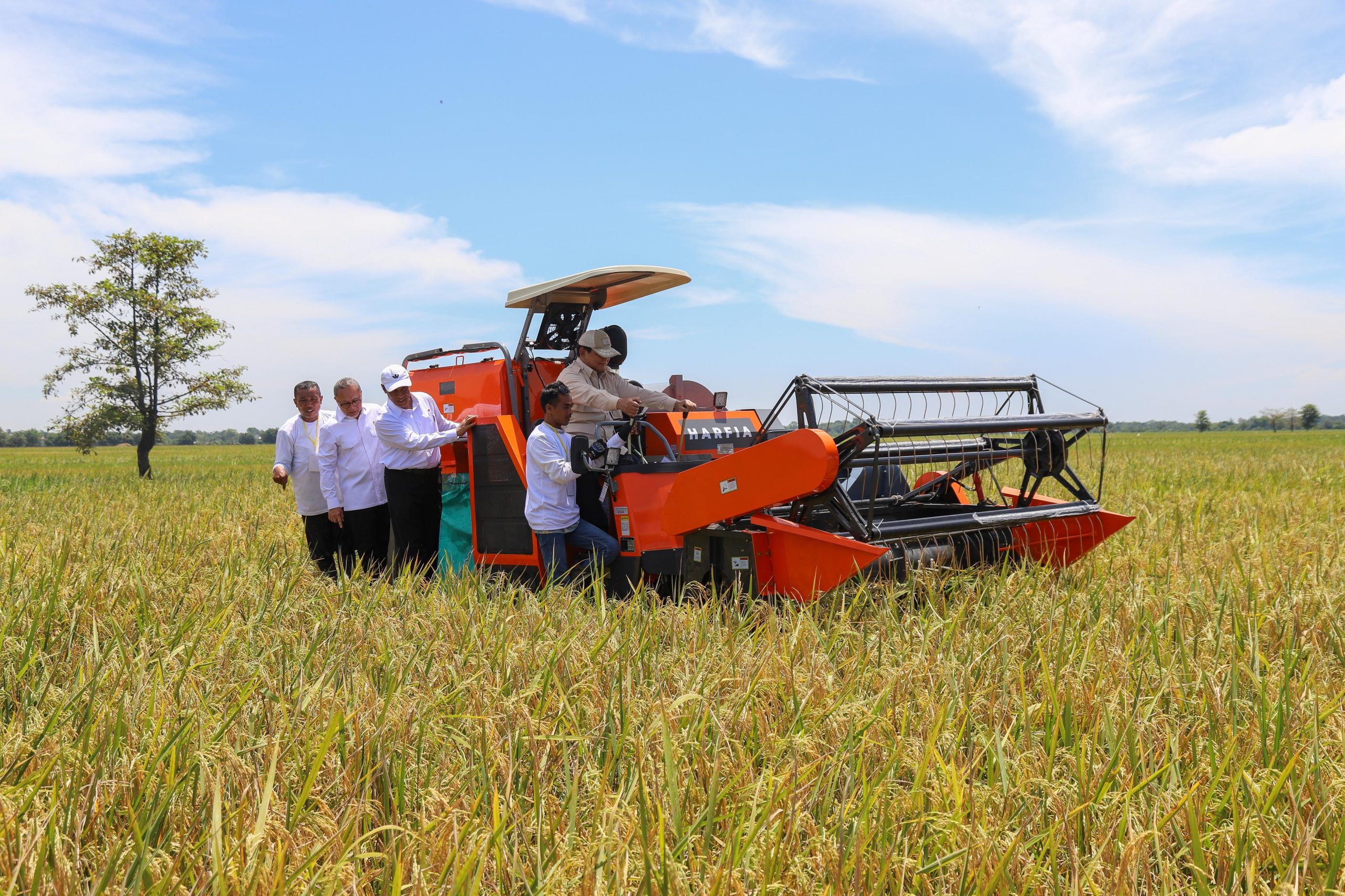 Spektakuler! Serapan Beras Bulog Tembus 2 Juta Ton, Melebihi Rata-rata Tahunan Sepanjang Sejarah