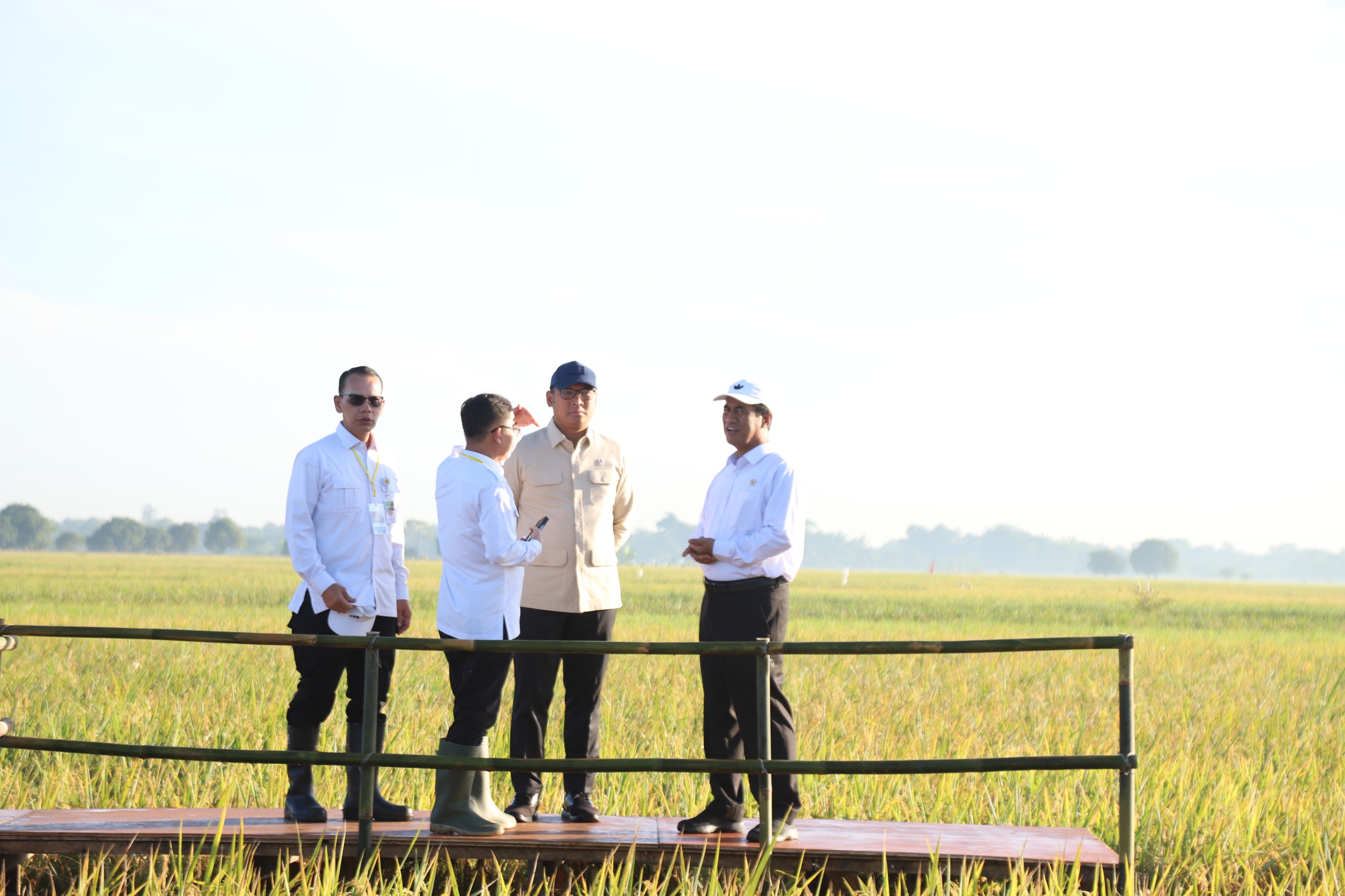 Beras Indonesia Bakal Melimpah, Produksi Tertinggi di ASEAN