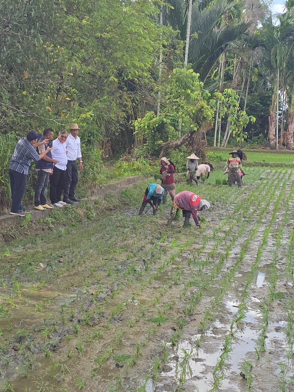 Perkuat Swasembada Pangan, Kementan Jalin Sinergi dengan Pemkab Pidie