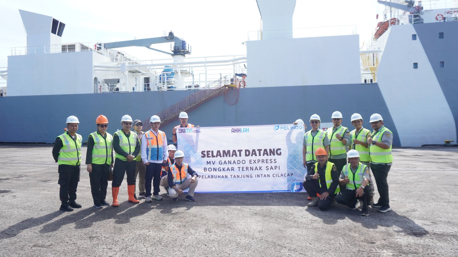 1.213 Sapi Perah Bunting Tiba di Cilacap!, Bukti Nyata Kemitraan Swasta dan Peternak Rakyat