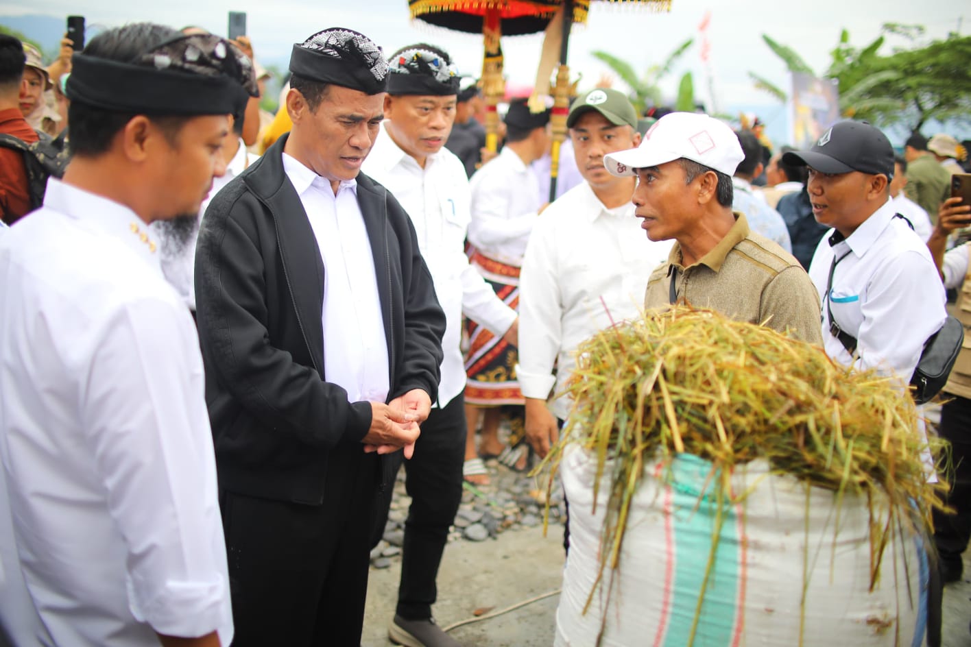 Mentan Amran Targetkan Luwu Timur Tanam Padi 4 Kali Setahun